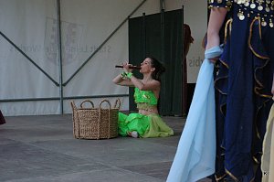 Teichfest in Leinefelde 2015