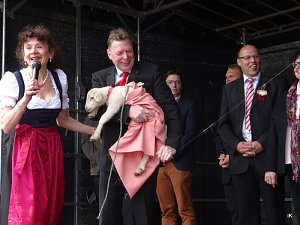 Stadtfest in Leinefelde
