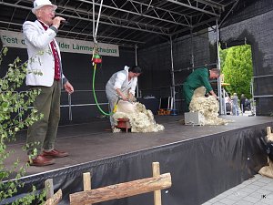 Stadtfest in Leinefelde