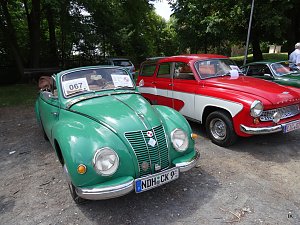 B&auml;renfest im B&auml;renpark