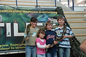 Welt der Reptilien in der Wiedingsburghalle