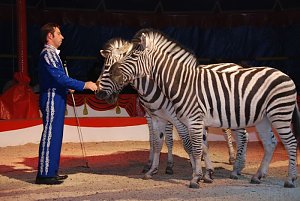 Circus Rolina gastiert in Nordhausen