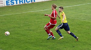Starke G&auml;ste auf dem G&ouml;ldner von Sondershausen