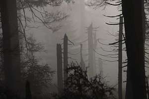 Brocken am 30. Dezember 2015