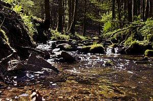 Unterwegs im Naturpark S&uuml;dharz