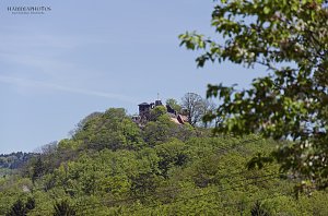 Unterwegs im Naturpark S&uuml;dharz