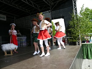 fest der L&auml;mmerschw&auml;nze