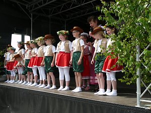 fest der L&auml;mmerschw&auml;nze