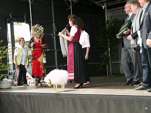 fest der L&auml;mmerschw&auml;nze