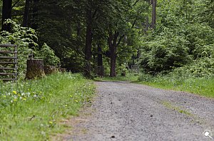 Wandergr&uuml;&szlig;e aus Rothes&uuml;tte