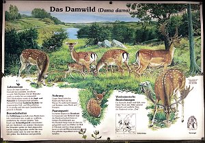 Peter Blei unterwegs - diesmal in der freien Natur und im Jugendwaldheim Rathsfeld