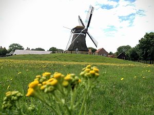 Unterwegs auf Ameland: M&uuml;hle Nes