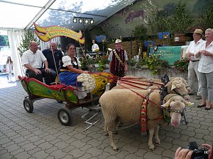 Eichsfelder Bauernmarkt