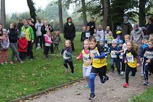 Stadtparklauf