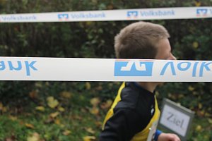 Stadtparklauf