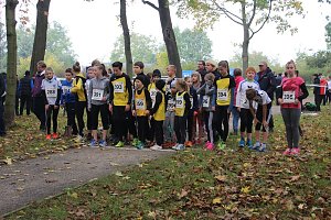 Stadtparklauf