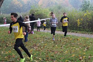 Stadtparklauf