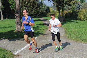 Die langen Strecken beim Stadtparklauf