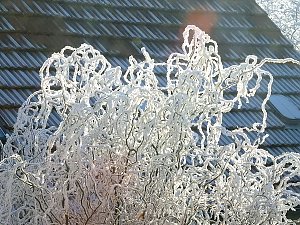 Ein Traum in Wei&szlig;