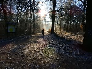 Ein Traum in Wei&szlig;