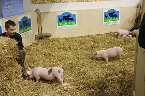 Gr&uuml;ne Woche 2017 in Berlin