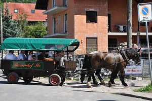 Hoffest Rüdingsdorfer Schweiz