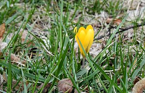 Spuren des Frühlings