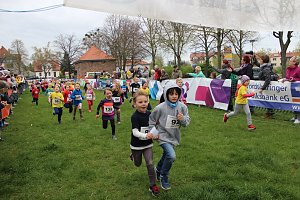 Bambinis begeisterten