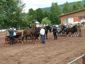 Breitensporttag am Reiterhof in Uder