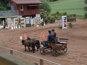Breitensporttag am Reiterhof in Uder
