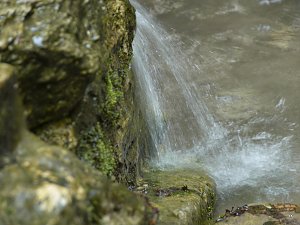 Quellen sprudeln &uuml;ber im B&auml;renpark