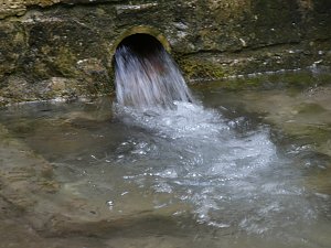 Quellen sprudeln &uuml;ber im B&auml;renpark