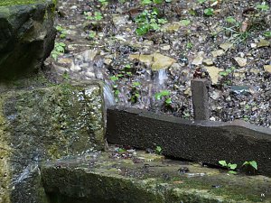 Quellen sprudeln &uuml;ber im B&auml;renpark