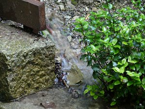 Quellen sprudeln &uuml;ber im B&auml;renpark