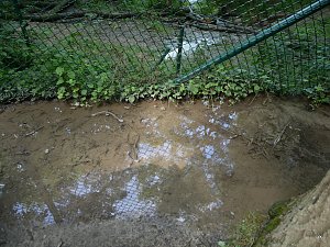 Quellen sprudeln &uuml;ber im B&auml;renpark