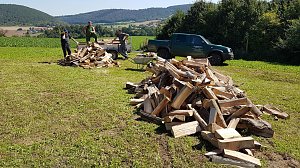 K&ouml;hlertage an der Arche Nebra