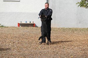 Tag der offenen T&uuml;r bei der Landespolizeiinspektion NOrdhausen
