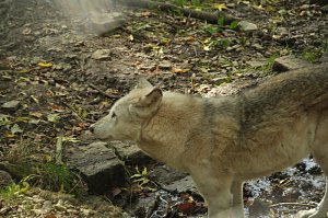Heute im B&auml;renpark