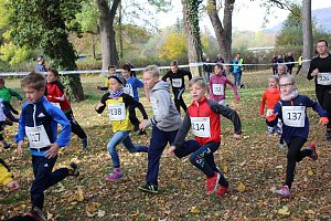 Stadtparklauf in Sondershausen (2)