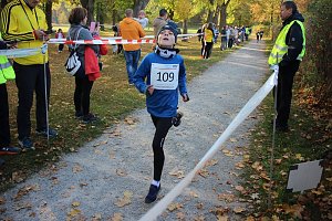 Stadtparklauf in Sondershausen (2)