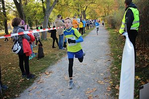 Stadtparklauf in Sondershausen (2)