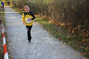 Stadtparklauf in Sondershausen (2)