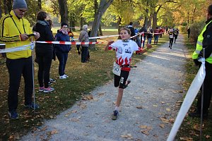 Stadtparklauf in Sondershausen (2)