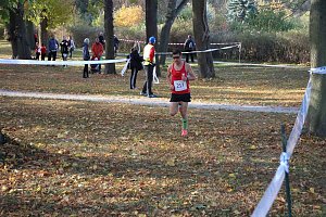 Stadtparklauf in Sondershausen (2)