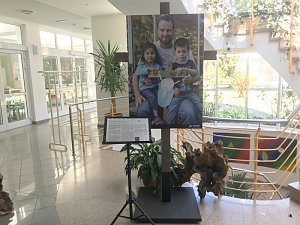 Ausstellung