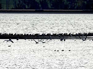 Abendstimmung am Stausee Kelbra