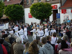 Bilder vom Festumzug