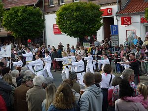 Bilder vom Festumzug