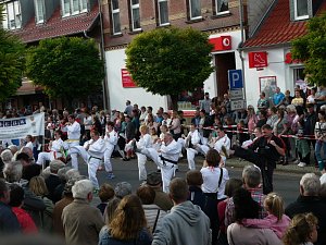 Bilder vom Festumzug Teil 2