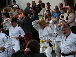 Bilder vom Festumzug Teil 2
